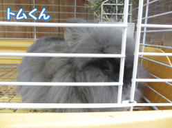 140427m.gif