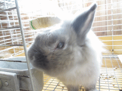140427p.gif