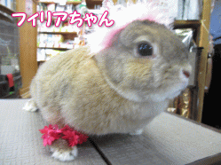 140427u.gif