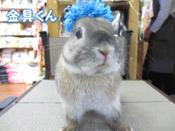140427w.gif