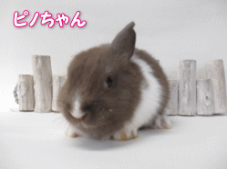 140429o.gif