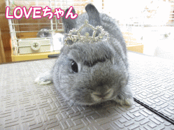 140429s.gif