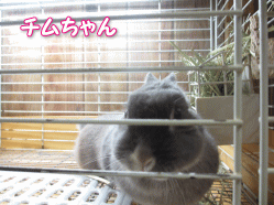 140429u.gif