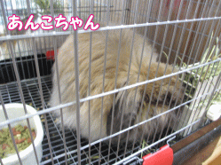 140429w.gif