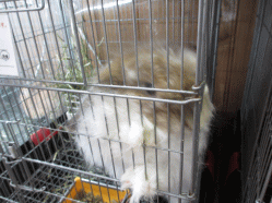 140429z.gif