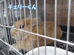 140429z1.gif