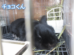 140429z3.gif