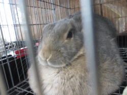 140429z6.gif