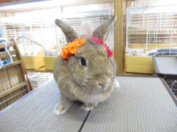 140501c.gif