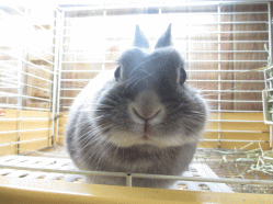 140501e.gif