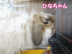140501h.gif