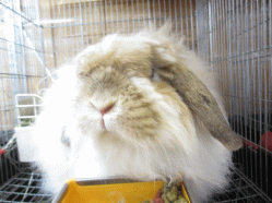 140501i.gif