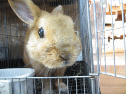 140501k.gif