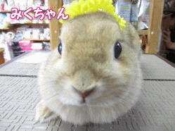140503c.gif
