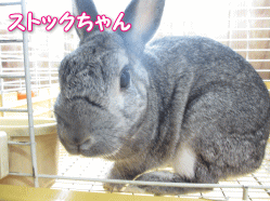 140503g.gif