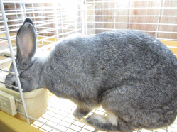 140503h.gif