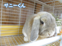 140503i.gif