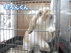 140503k.gif