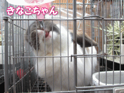 140503m.gif