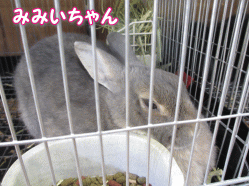 140503o.gif