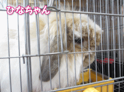 140503q.gif