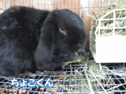 140503s.gif