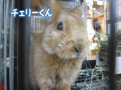 140503u.gif
