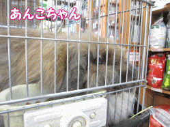 140503w.gif