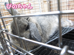 140503y.gif