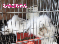 140503z1.gif