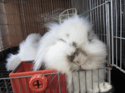 140503z2.gif