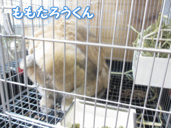 140504c.gif