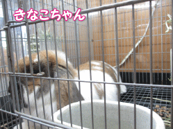 140504e.gif