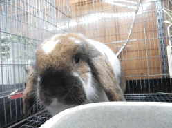140504f.gif