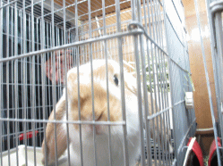 140504h.gif