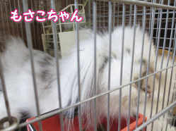 140504k.gif