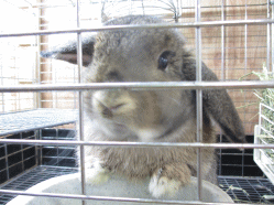 140504n.gif