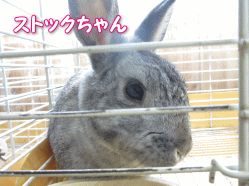 140504o.gif