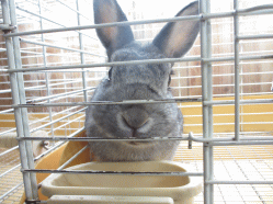 140504p.gif