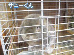 140504q.gif