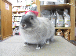 140504u.gif