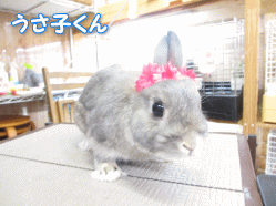 140504v.gif