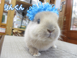 140505a.gif