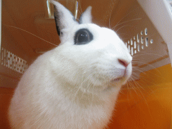 140505f.gif