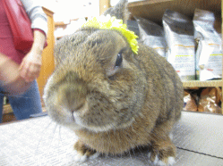 140505h.gif