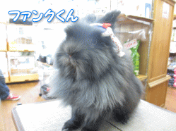 140505i.gif
