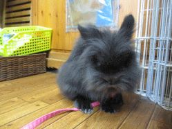 140505j.gif
