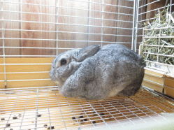 140505l.gif