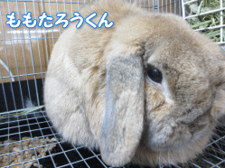 140505o.gif