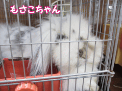 140505u.gif